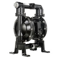 Ӣ�����mEXP 1-1_2����ٸ�Ĥ��